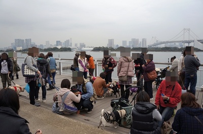 お台場12.JPG
