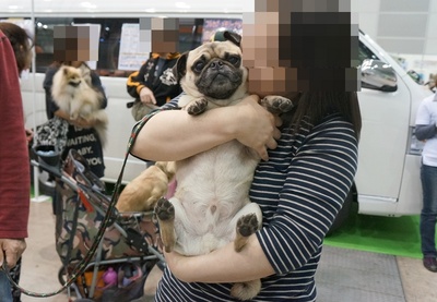 ペット博16.JPG
