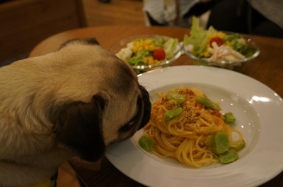 ドッグカフェ7.JPG