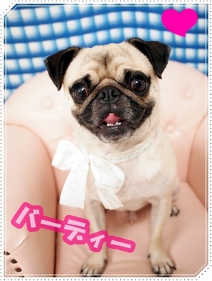 美容院2012.6 cheer.jpg